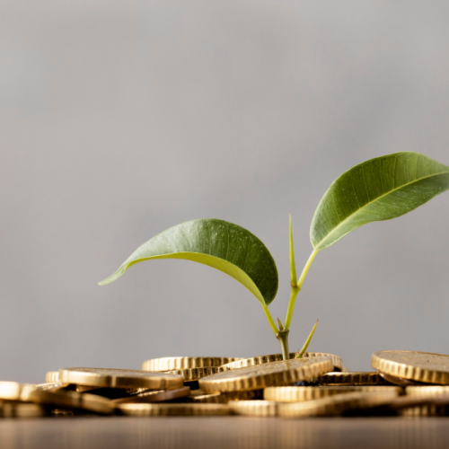 O Papel da Economia na Construção de um Futuro Sustentável