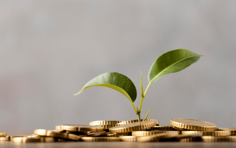 O Papel da Economia na Construção de um Futuro Sustentável